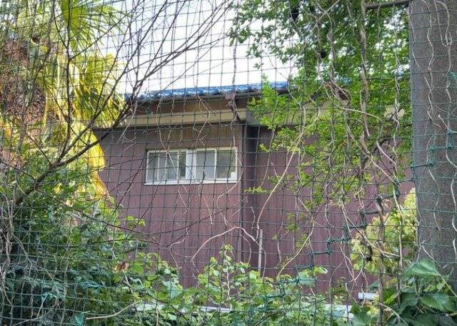 土地購入を検討されている場合、境界杭がない状態で購入してしまうと境界確定測量をする必要があり、費用がかかります。購入の前に、売主、隣土地所有者立ち合いのもと境界を確定し境界杭を設置するのがベストです。