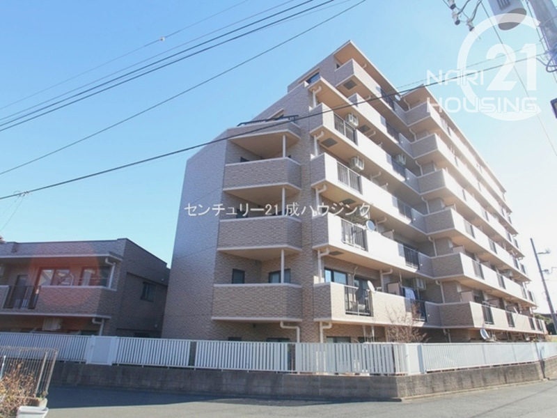 外観：313004684694