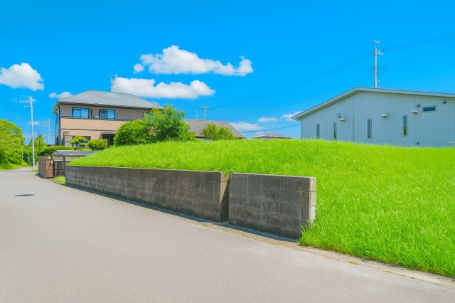 外観：312001164507