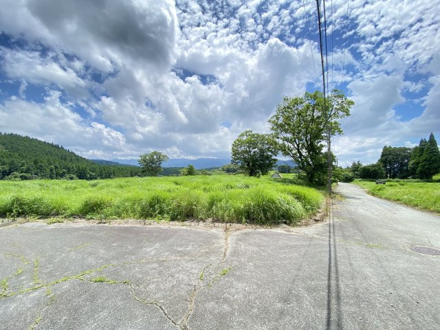 外観：343000087031