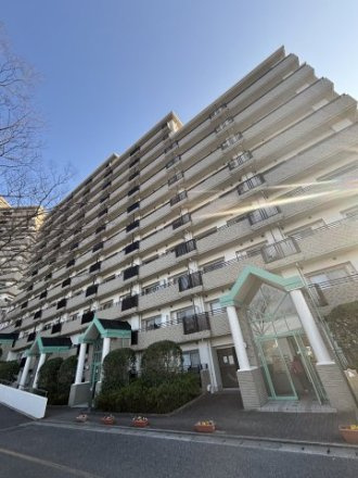 外観：312001214098