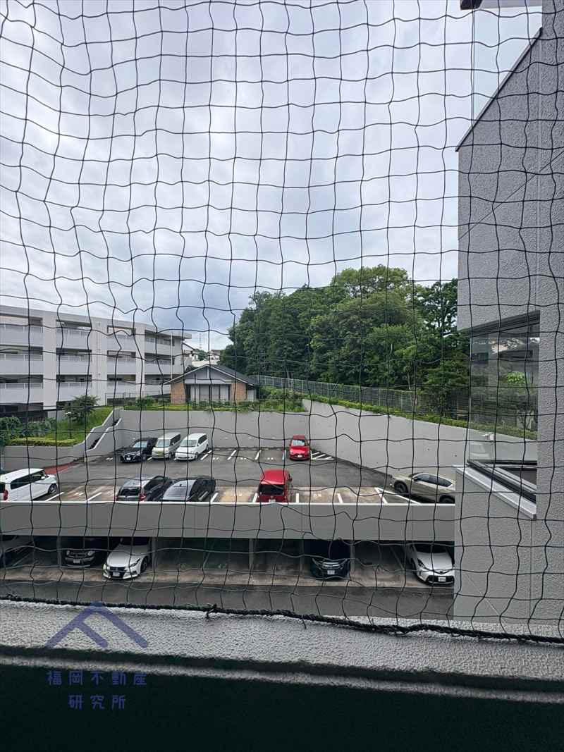 展望