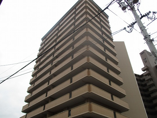 外観：334000164771