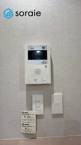 3月5日撮影