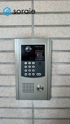 3月5日撮影