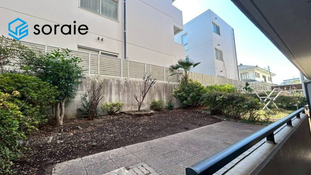 3月5日撮影