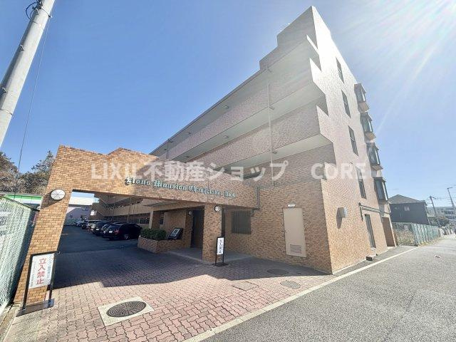 外観：314002669803