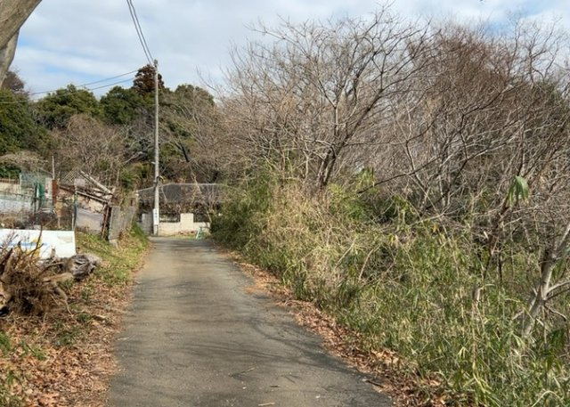 外観：313004633500