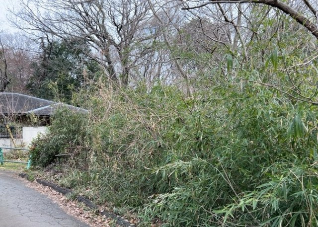物件の詳細については、現地を見てわかること以外に、役所や法務局などで調べないとわからないことがあります。そのため、現地に行く場合は、もしこの物件を買ったらどのような生活ができるかをイメージしましょう。