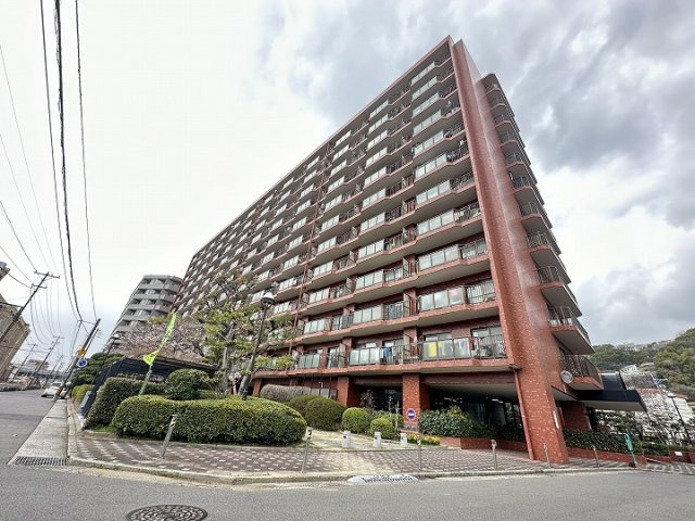 外観：334000215896