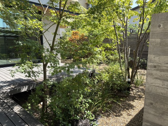 庭
