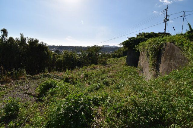 外観：346000012057