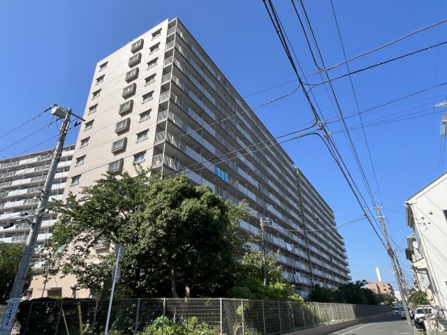 外観：312001284328