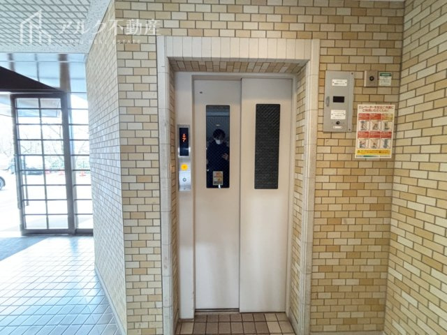 2026年3月15日撮影