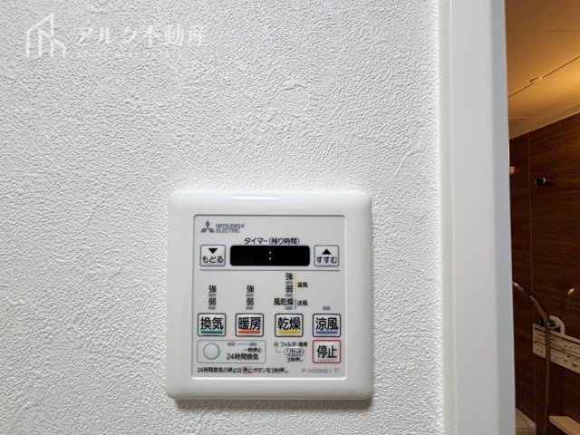 2026年3月15日撮影