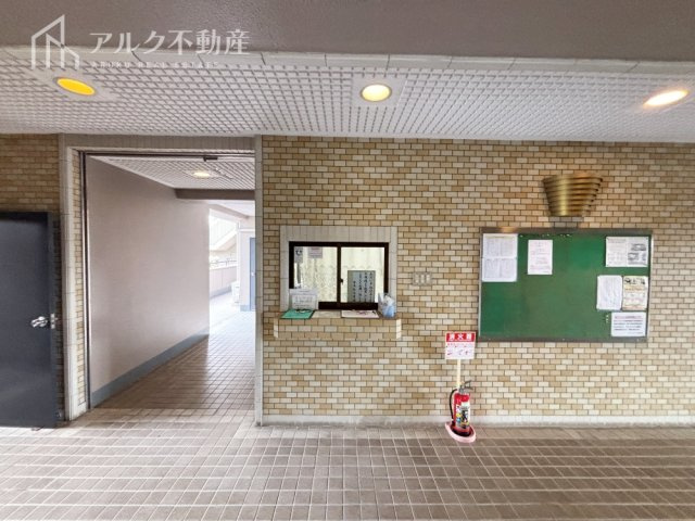 2026年3月15日撮影