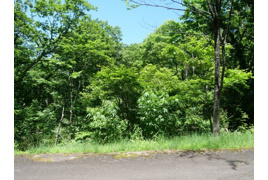 荘川ビレッジ⑥の外観