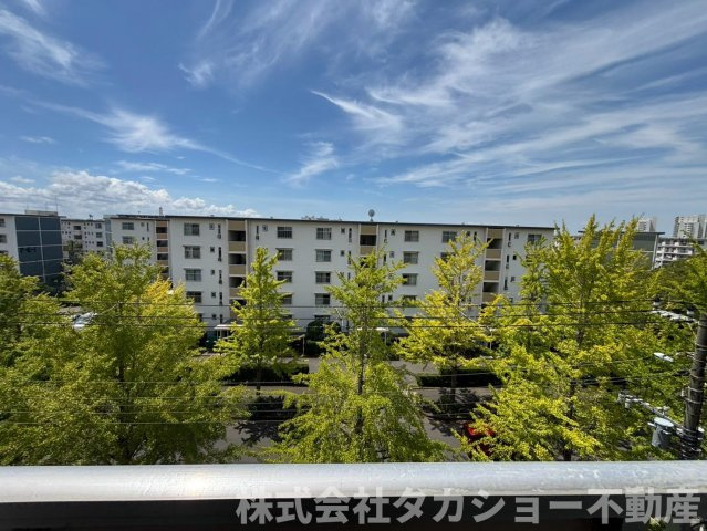 展望