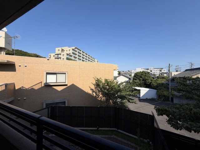 展望