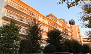 外観：313004529349