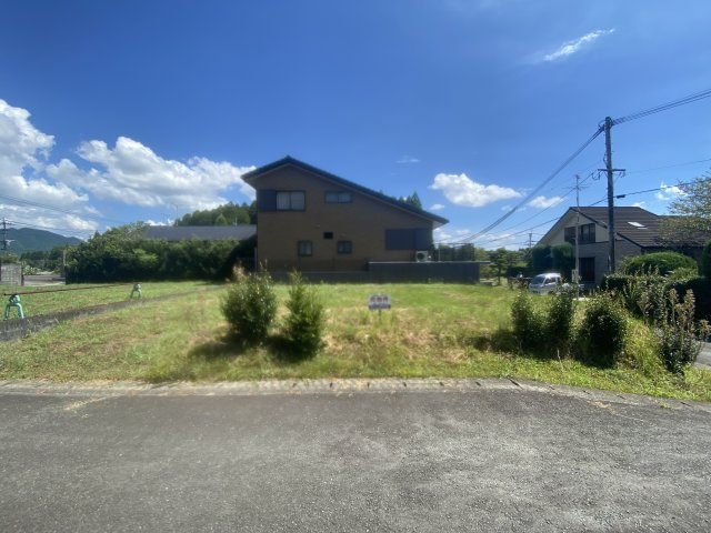 外観：343000087147