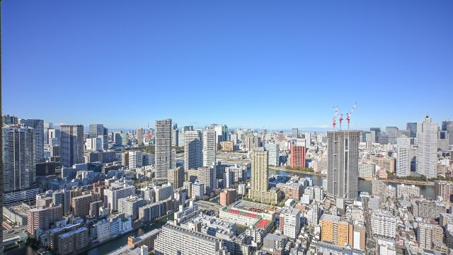展望
