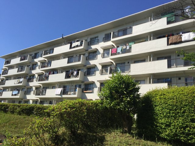 外観：314002419778