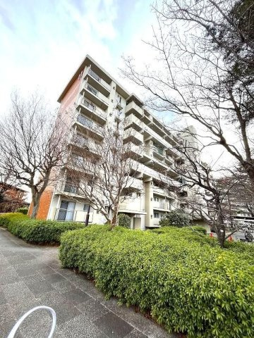 外観：313004695909