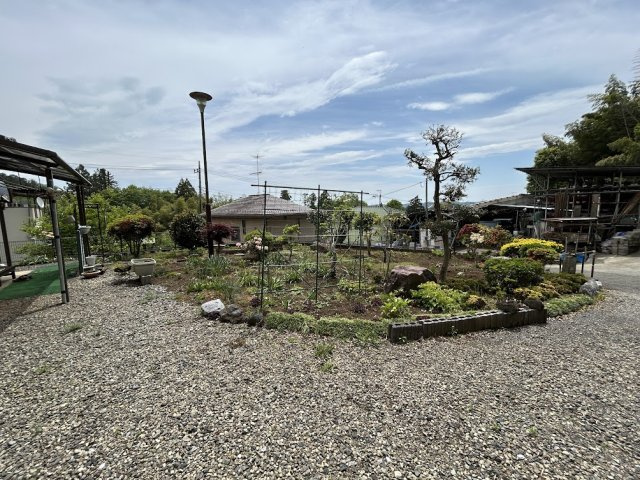 庭