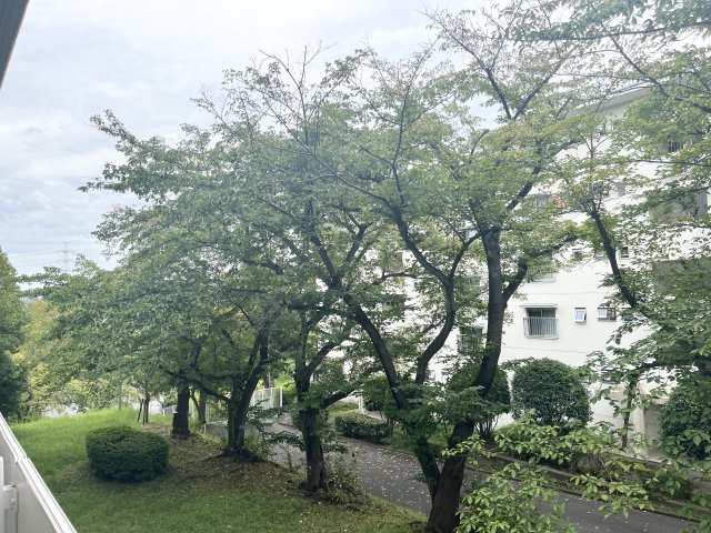 窓の外には豊かな緑が広がります。団地ならではのゆとりと、季節の移ろいを身近に感じられる眺望です。