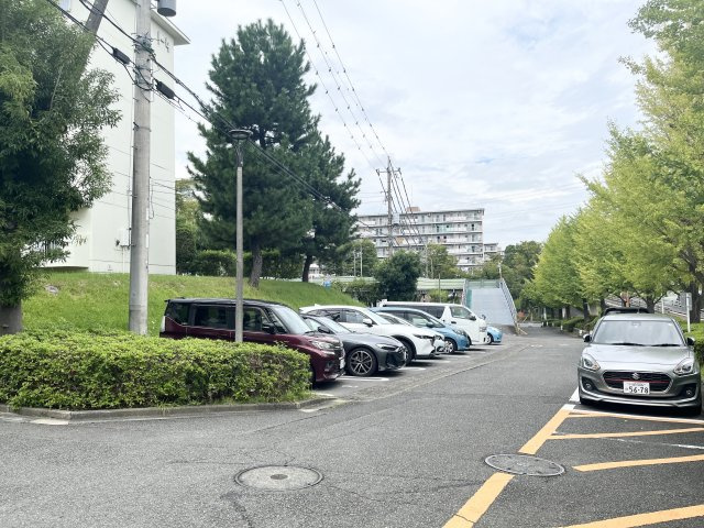 緑に囲まれた敷地内駐車場。住棟周辺にもゆとりが感じられる団地です。