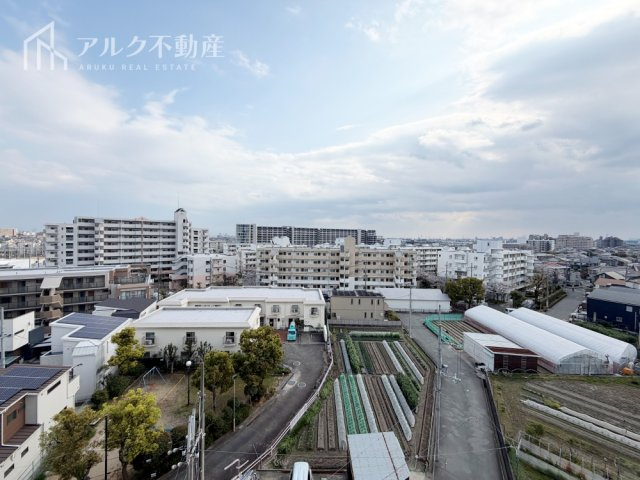 2026年4月撮影