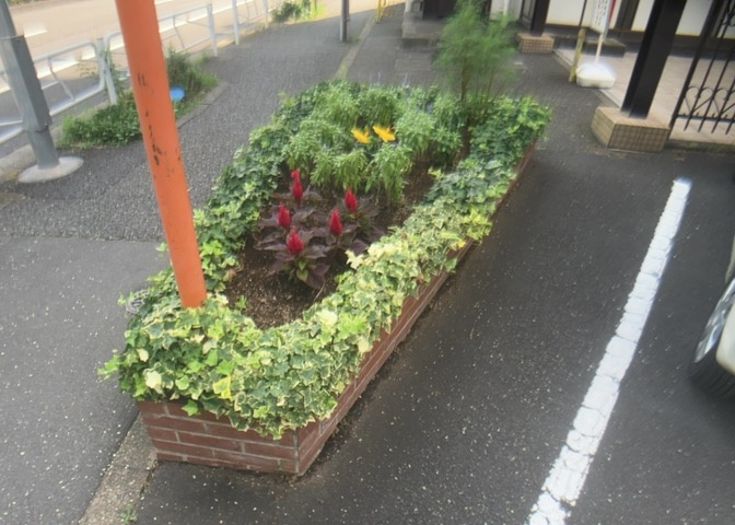 マンション敷地内の植栽や緑地スペースです。緑豊かな住宅地に位置しており、四季の移ろいを感じられる環境が整っています。徒歩4分（約283m）の距離には椚田公園もあり、自然に親しめる好立地です。