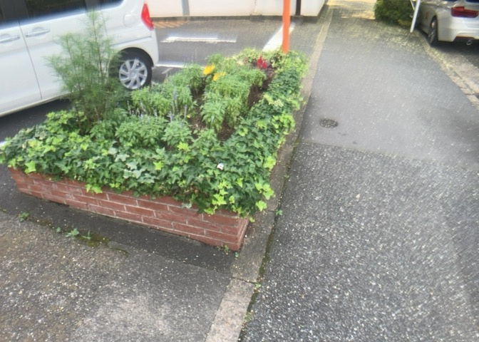 秀和めじろ台レジデンスの敷地内にある共用の中庭空間です。植栽の手入れが行き届いており、居住者様の憩いの場として親しまれています。緑を感じながら敷地内を気持ちよく散策することができる環境となっております
