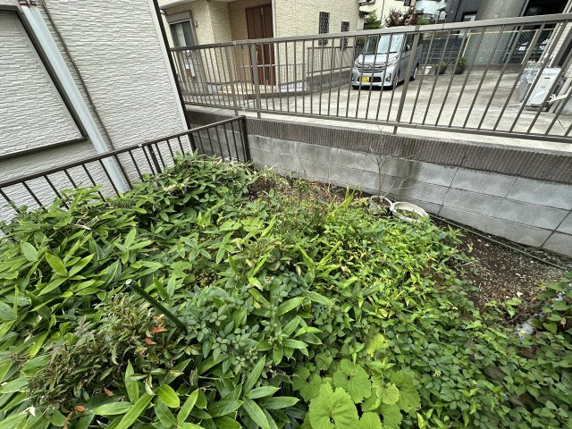 庭
