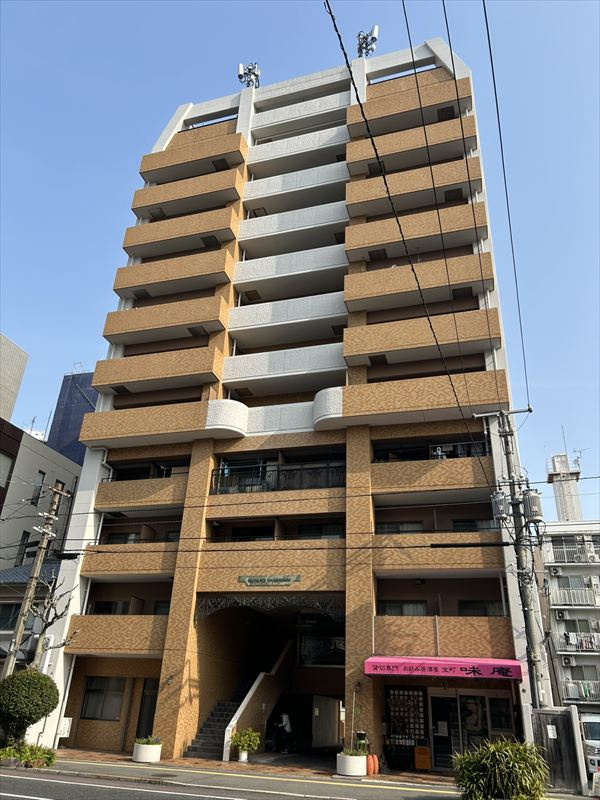 外観：334000264243