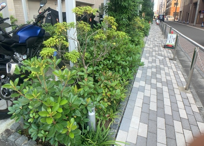 中庭（パティオ）とは、一つの建築物の内部に設けられた、壁などで囲われている庭のことを指します。コの字型、ロの字型が主流ですが、L字型の中庭もあります。最近では、インテリア性の高さからも人気があります。