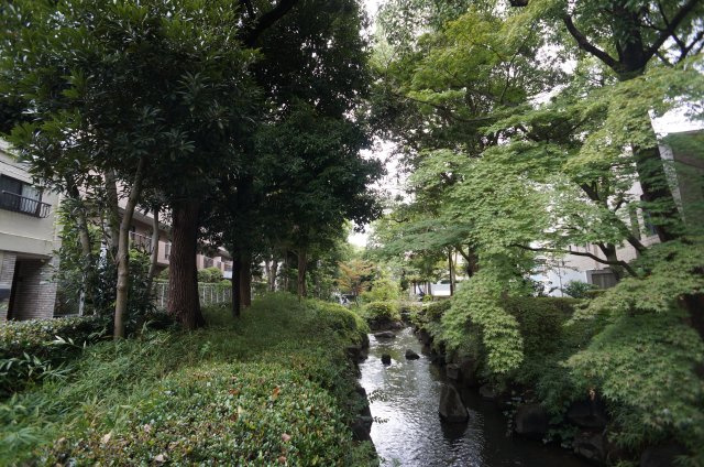 目の前にある親水緑道です。