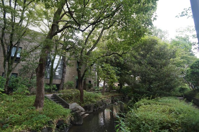 目の前にある親水緑道です。