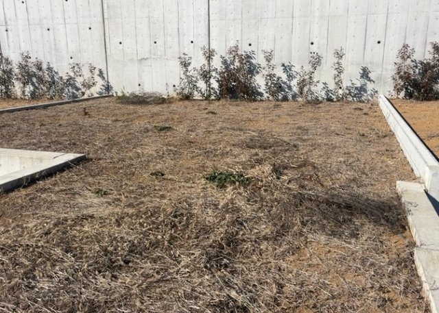 土地の形が極端に長細かったり、狭小地、あるいは道路との高低差がある傾斜地だった場合、後々売ろうとしても買い手がつかない場合もあります。後々、売却することになった時に価値の下がらない土地を選びましょう。