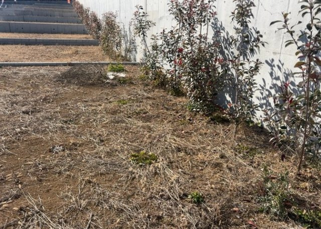 家を建てる場合、方位は要チェックです。現実的に日当たりのよい家ならばリビングは南側、建築基準法でも北側に当たる家への配慮は求められています。土地を見学に行く際は、方位磁針を持って行くようにしましょう。