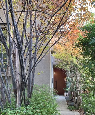 外観：308000168148