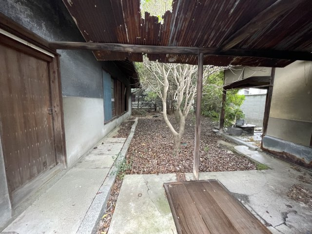 庭