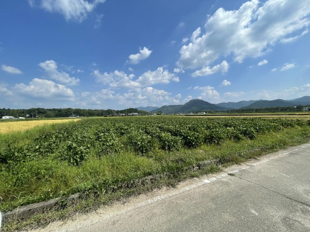 周辺環境