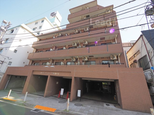外観：313004762380