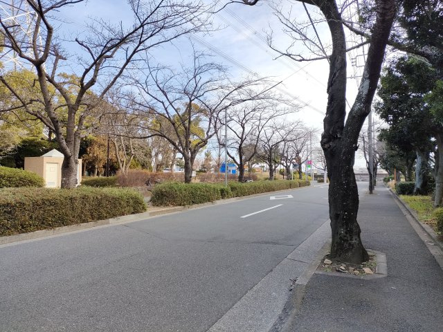 【前面道路】