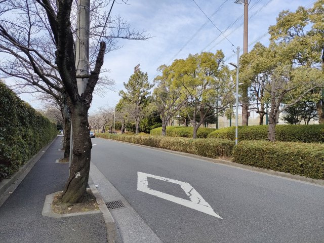 【前面道路】