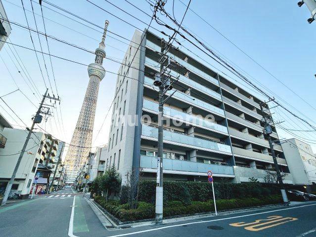 外観：313004634749