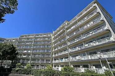 外観：314002638877