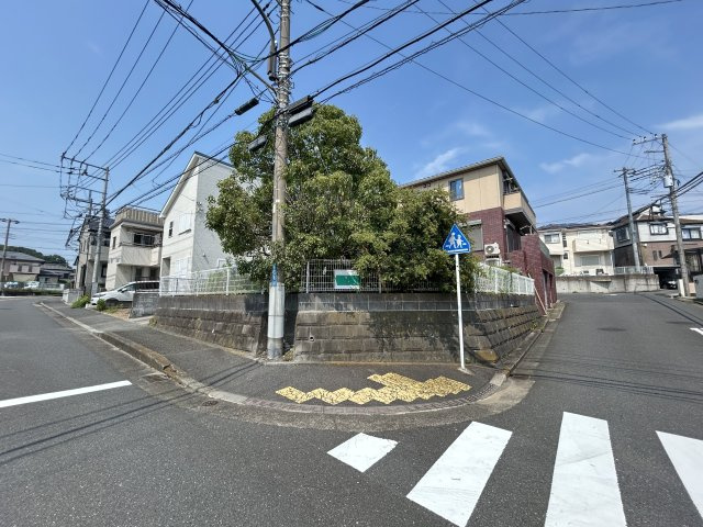外観：314002794067
